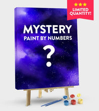 Load image into Gallery viewer, Mystery Paint by Numbers - Art Providore