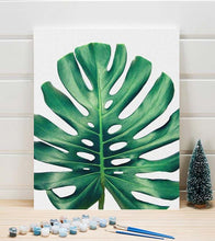 Load image into Gallery viewer, The Monstera Leaf Paint by Numbers - Art Providore