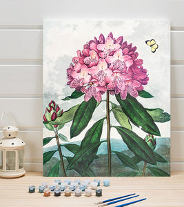 The Pontic Rhododendron Paint by Numbers - Robert John Thornton - Art Providore