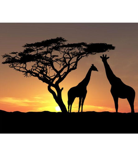 Africa Sunset Paint with Diamonds - Art Providore