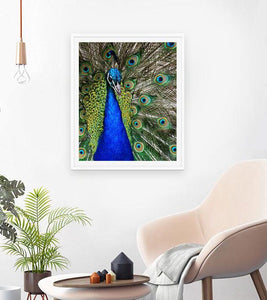 Blue Peacock Paint with Diamonds - Art Providore