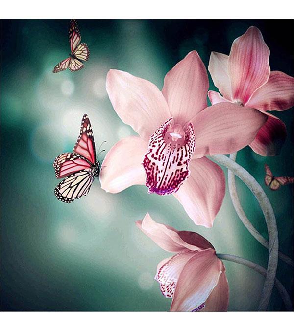 Butterflies and Orchids Paint with Diamonds - Art Providore