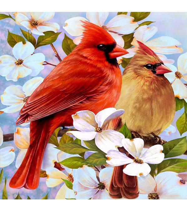 Cardinal Birds Paint with Diamonds - Art Providore