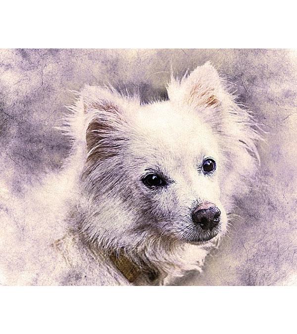 Cute Puppy Paint with Diamonds - Art Providore