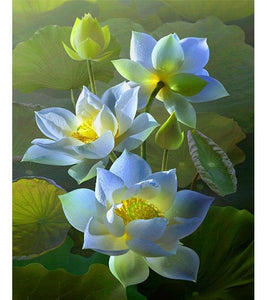 Elegant Lotus Flower Paint with Diamonds - Art Providore