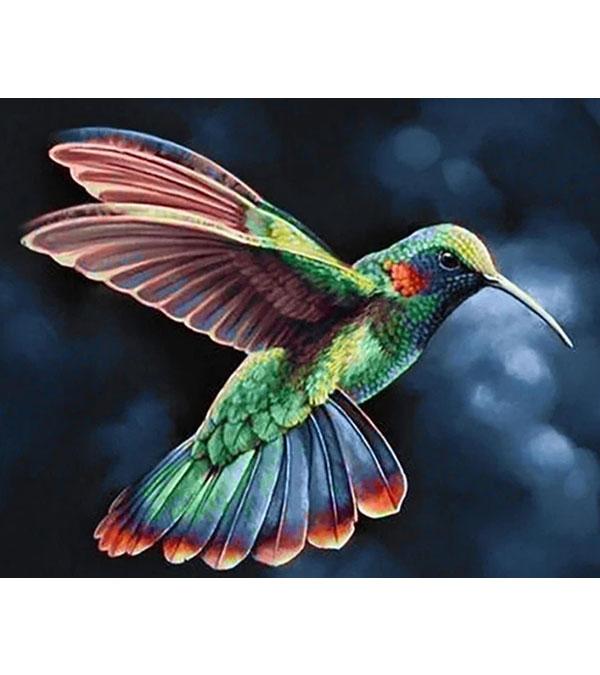 Emerald Hummingbird Paint with Diamonds - Art Providore