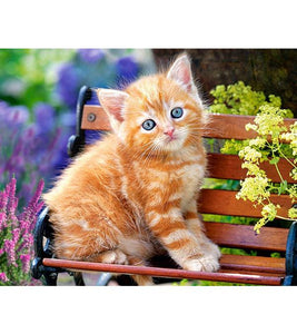 Ginger Kitten Paint with Diamonds - Art Providore