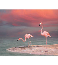 Load image into Gallery viewer, Pink Flamingo Paint with Diamonds - Art Providore