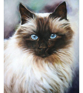 Ragdoll Cat Paint with Diamonds - Art Providore