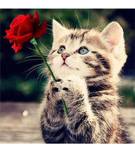 Load image into Gallery viewer, Romantic Kitten Paint with Diamonds - Art Providore