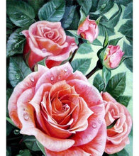 Load image into Gallery viewer, Roses with Dew Drops Paint with Diamonds - Art Providore