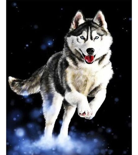 Siberian Husky Paint with Diamonds - Art Providore