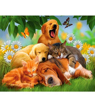 Load image into Gallery viewer, Sleeping Cats and Dogs Paint with Diamonds - Art Providore