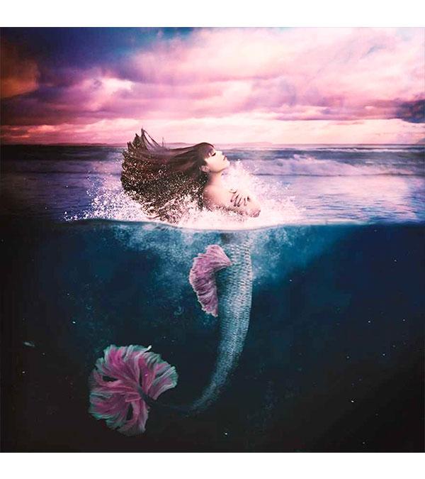 The Mermaid Paint with Diamonds - Art Providore