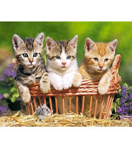 Three Kittens Paint with Diamonds - Art Providore