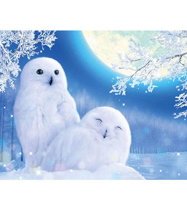 White Owl Couple Paint with Diamonds - Art Providore
