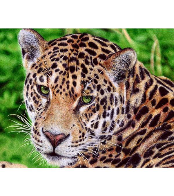 Wild Jaguar Paint with Diamonds - Art Providore