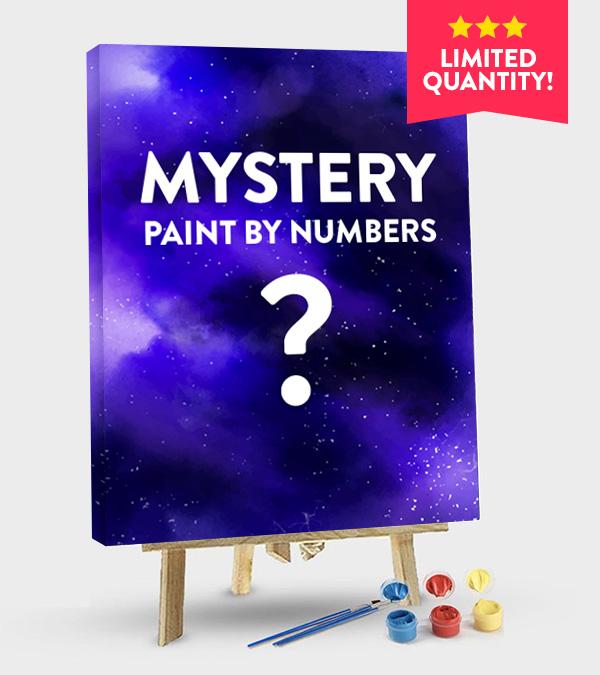Mystery Paint by Numbers - Art Providore