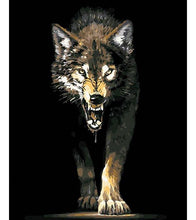 Load image into Gallery viewer, A Hungry Wolf Paint by Numbers - Art Providore