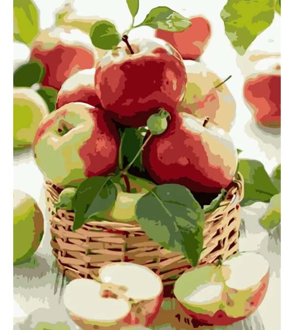 Apple Basket Paint by Numbers - Art Providore
