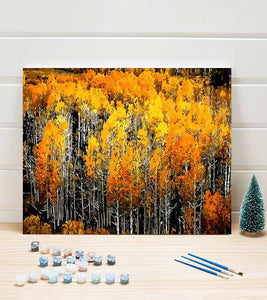 Autumn White Birch Trees Paint by Numbers - Art Providore