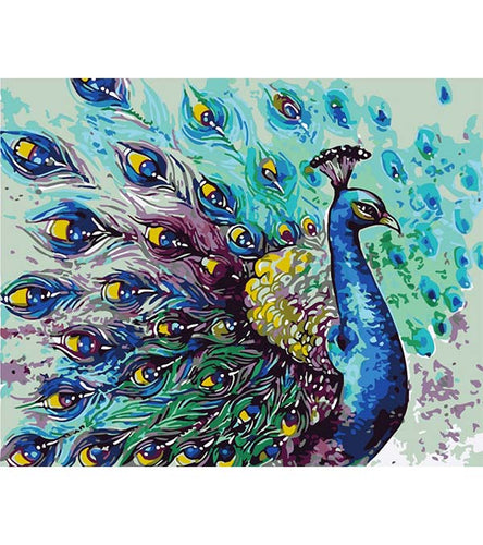 Beautiful Peacock Paint by Numbers - Art Providore