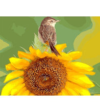 Load image into Gallery viewer, Bird on Sunflower Paint by Numbers - Art Providore