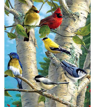 Load image into Gallery viewer, Birds in the Woods Paint by Numbers - Art Providore