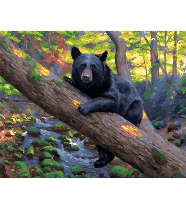 Black Bear Paint by Numbers - Art Providore