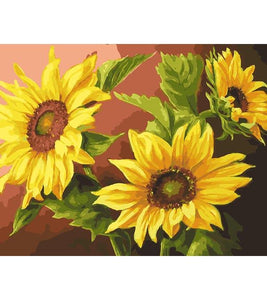 Blooming Sunflowers Paint by Numbers - Art Providore