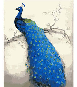 Blue Peacock Paint by Numbers - Art Providore