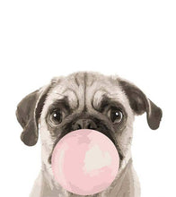 Load image into Gallery viewer, Bubble Gum Pug Paint by Numbers - Art Providore