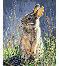 Load image into Gallery viewer, Rabbit in the Grass Paint by Numbers - Art Providore