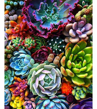Load image into Gallery viewer, Captivating Succulents Paint by Numbers - Art Providore