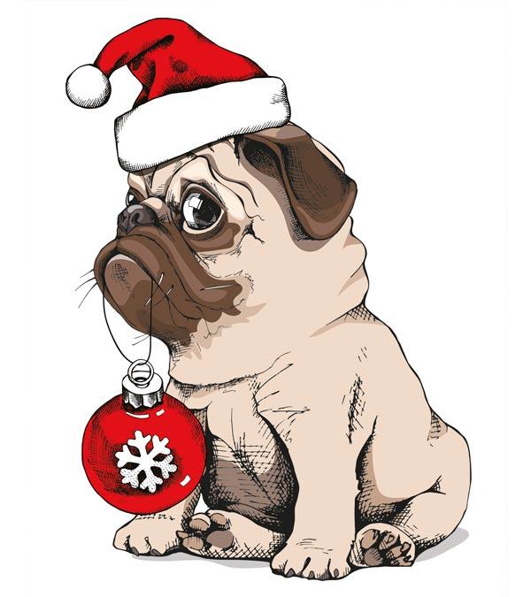Christmas Pug Paint by Numbers - Art Providore