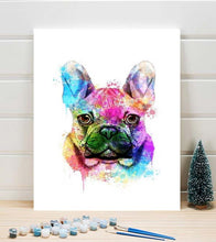 Load image into Gallery viewer, Splendid Bulldog Paint by Numbers - Art Providore