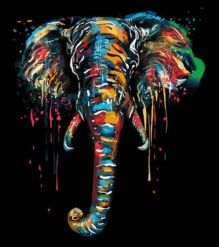 Colourful Elephant Paint by Numbers - Art Providore