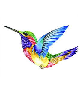 Colourful Hummingbird Paint by Numbers - Art Providore