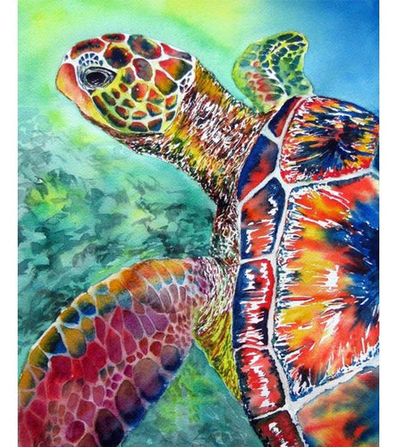 Colourful Sea Turtle Paint by Numbers - Art Providore