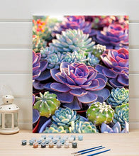 Load image into Gallery viewer, Colourful Succulents Paint by Numbers - Art Providore
