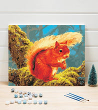 Load image into Gallery viewer, Cute Squirrel Paint by Numbers - Art Providore