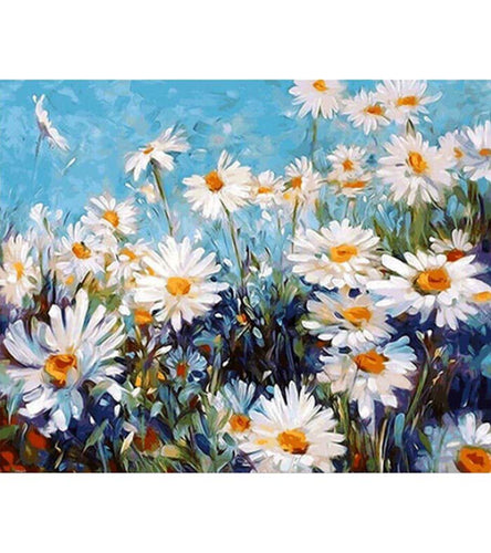 Field of Daisy Paint by Numbers - Art Providore