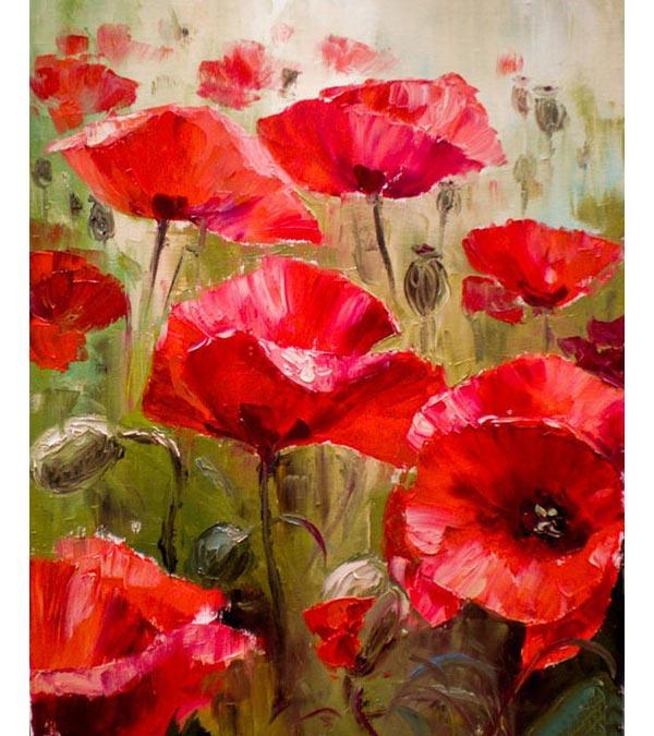 Field of Poppies Paint by Numbers - Art Providore