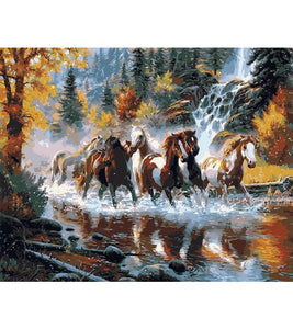River Run Horses Paint by Numbers - Art Providore