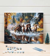 Load image into Gallery viewer, River Run Horses Paint by Numbers - Art Providore