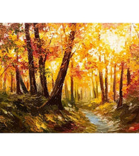 Load image into Gallery viewer, Golden Forest Paint by Numbers - Art Providore