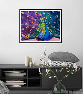 Peacock Feathers Paint by Numbers - Art Providore