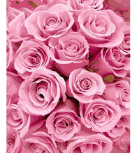 Load image into Gallery viewer, Pink Roses Paint by Numbers - Art Providore