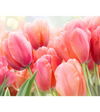 Load image into Gallery viewer, Pink Tulip Paint by Numbers - Art Providore