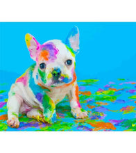Load image into Gallery viewer, Playful Bulldog Paint by Numbers - Art Providore
